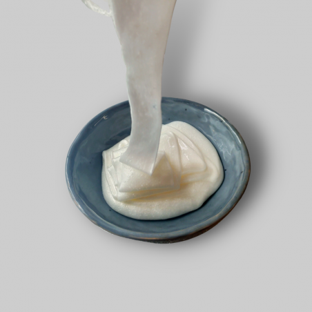 Perlante GM 4175 Pasta