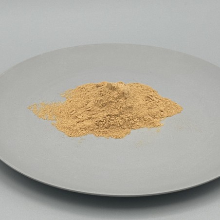 Verga d Oro 1:4 Estratto Vegetale Polvere