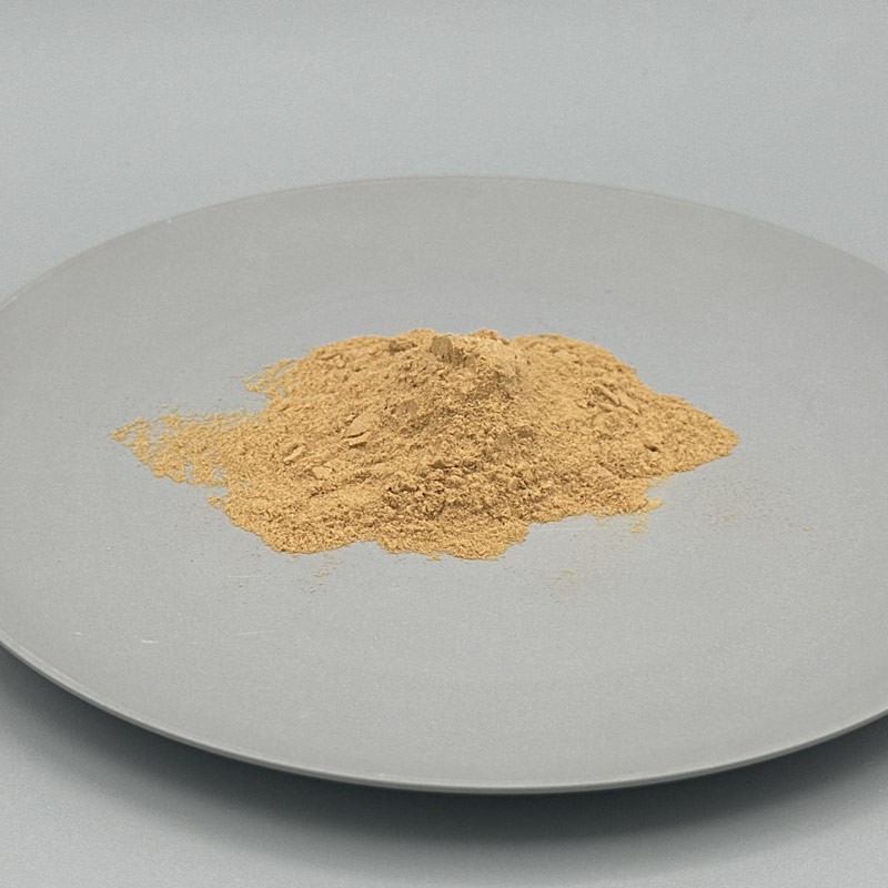 Verga d Oro 1:4 Estratto Vegetale Polvere