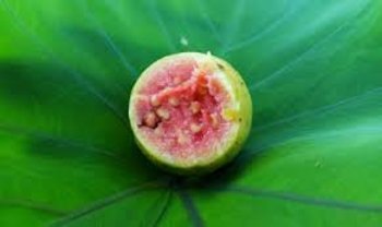 Fragranza Guava